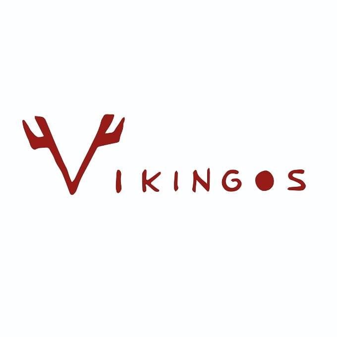 Logotipo de Vikingos Company