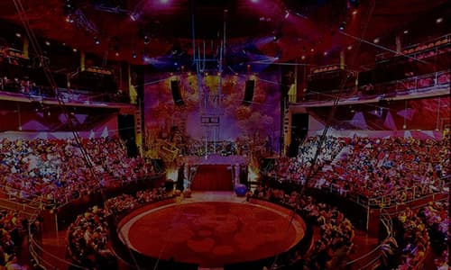 La Red celebra su segunda Asamblea Anual el 8 de  mayo en el Teatro Circo Price de Madrid