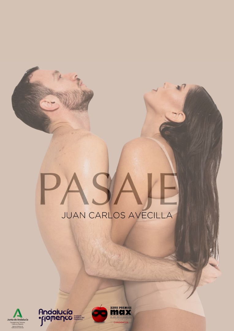 PASAJE