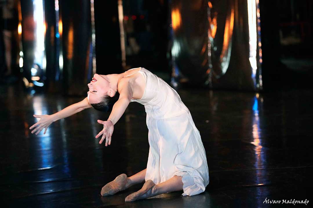 Encuentros. Un espectáculo de danza fusión