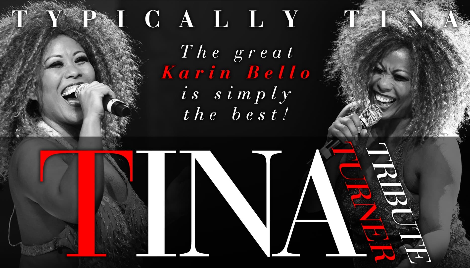 TINA TURNER TRIBUTE - Typically Tina