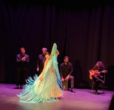 ESPECTACULO DE FLAMENCO ENTRE EL CIELO Y LA TIERRA